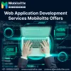 Web Application Development Company