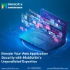 Web Application Development solutions
