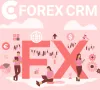 Web Trading Platform