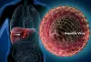 Viral Hepatitis Treatment, Diseases, Transplant in India | LiverTransplantinIndia