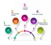 Website Development Company in India | Squad IT Biz