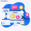 CodeCrafting for WordPress: Unleashing the Power of Custom Plugins - Business Market News