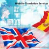 Website Translation in India - Delsh Language Consultancy