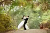 Interesting Ideas to Pull Off a “Forest Theme Wedding”