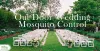 How to keep mosquitoes away from your outdoor wedding