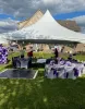 High peak tent rentals in Detroit, High peak frame party tent