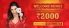 Rummy Online | Play 13 Card Indian Rummy Games for Free