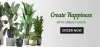 Buy Plants Online