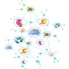 Can You Make Money With Social Networks