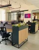 House Painters in Gurgaon