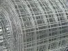 Galvanized Square Mesh In Stock | Get Price Online