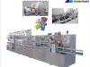 PE Glove Making Machines Price | Plastic Glove Making Machine