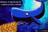 Whales: A big threat to the cryptocurrency market | Blockchainerz
