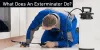 What Does An Exterminator Do? - TheOmniBuzz