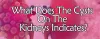 What Does The Cysts On The Kidneys Indicates?