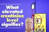 What elevated creatinine level signifies? - Creatinine Treatment in Lucknow