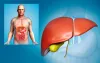 What Foods Are Good To Eat When Your Gallbladder Is Acting Up?