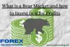 What is a Bear Market and how to Invest in it for Profits - Forex