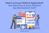 What is a Cross-Platform Application?