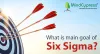 What is the Main Goal of a Six Sigma Implementation?