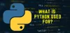 What is Python Used For? Python Applications &amp; Real World Uses