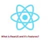Web Development: What is ReactJS and it’s Features?