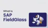 SAP Fieldglass