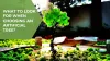What to Look for When Choosing an Artificial Tree? - Rebecca Harris