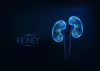 What Vitamins Are Good for Kidneys? 