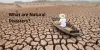 What are Natural Disasters and How to Manage a Disaster?
