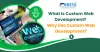 SBeta Technology : What Is Custom Web Development? Why Use Custom Web Development?