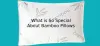 What is So Special About Bamboo Pillows? ~ Sleepsia Bamboo Shredded Memory Foam Pillow
