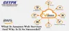 Why Is AWS Training The Next Big Thing