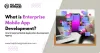 Enterprise App Development Agency