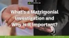 What’s a Matrimonial Investigation and Why Is It Important? - Lady Detectives India Blog