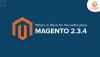 Magento 2.3.4 Released: What You Need To Know About It.