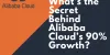 Why is Alibaba cloud so popular & success in the market?