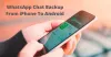 How to Restore WhatsApp Chat Backup From iPhone to Android Smartphone - Nex Gen Apps