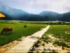 Khajjar Lake Dalhousie - Mini Switzerland of India. Is it worth your visit?