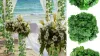 Artificial plants supplier in India | Dekorr by aavana