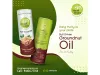 100% Natural and Best Quality Cold Pressed Groundnut Oil at Naatigrains