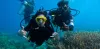 scuba divers underwater with coral life