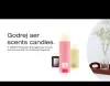 Scent Candles