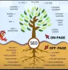 https://pankaj-dhindsa143.github.io/portfolio-website/