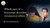Which part of a horoscope describes extramarital affairs?