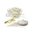 USDA Approved Bulk White Kidney Bean Extract Powder in USA