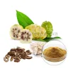 white mulberry, mulberry fruit, mulberry powder, white mulberry root bark, white mulberry root bark benefits