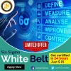 white belt six sigma certification