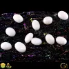 White Coral Stone | White Coral Benefits
