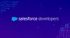 Who are Salesforce Developers